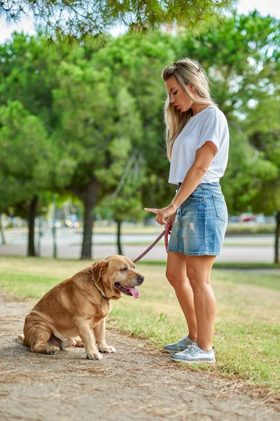 Kvinna Utbildning Hund Parken — Stockfoto