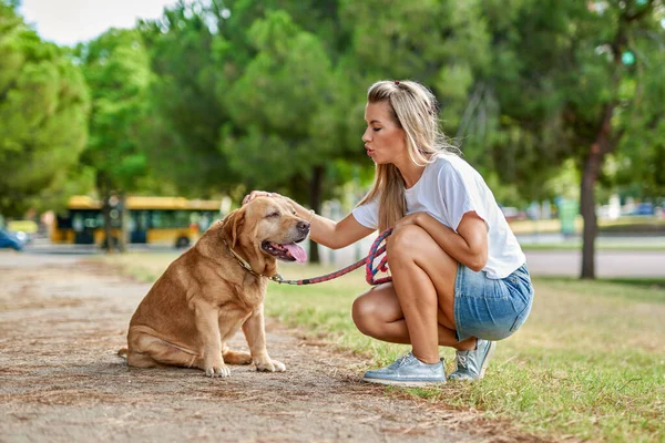 公園での女性訓練犬 — ストック写真