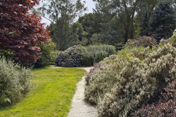 Garden Dionysus Botanical Park High Bretagne Has Particular Collection Daphnes — Stock Photo, Image