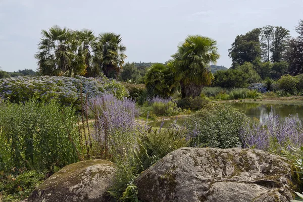 Jardin Printemps Bleu Dans Parc Botanique Haute Bretagne Ponctué Blocs — Photo