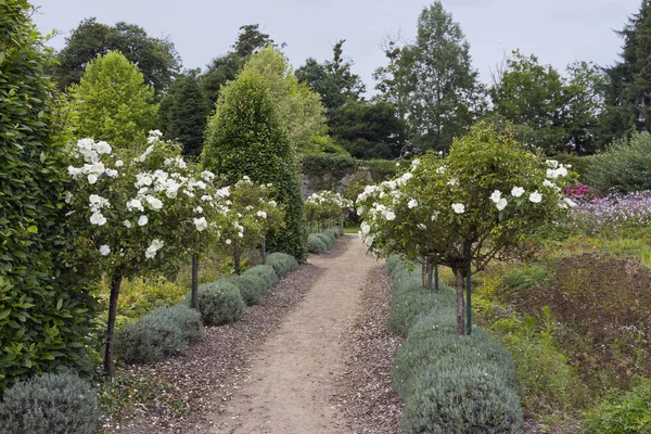 Jardin Ancienne Ville Été Conçu Dans Ancien Jardin Clos Parc — Photo