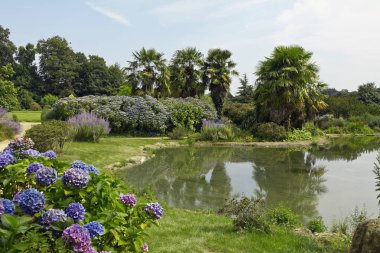 Bahçe, mavi bahar botanik Park, yüksek Bretagne bir pon ayarla