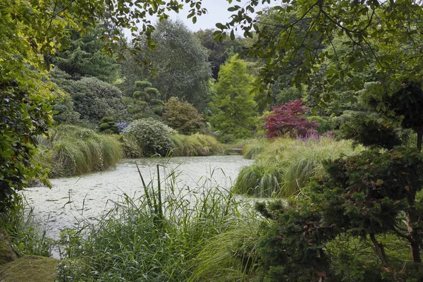 Jardin Bois Décisif Dans Parc Botanique Haute Bretagne Est Forêt — Photo