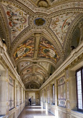 Ducal Palace, Mantua 'da aynalar salonu