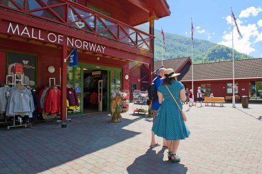 Flam, Norveç - 16 Temmuz 2018: Nefes kesen Norveç fiyord ve dağ manzaraları Norveç üzerinde kısaca tur. Norveç, Flam içinde dükkanı Vergisiz alışveriş merkezi.