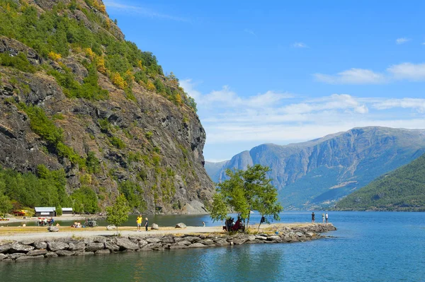 Impresionantes Fiordos Noruegos Paisajes Montaña Noruega Tour Nutshell Paisaje Flam — Foto de Stock