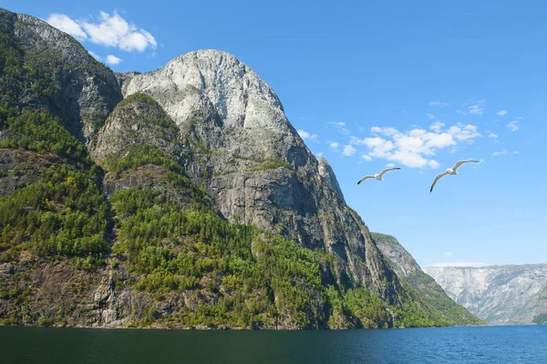 Die Atemberaubende Norwegische Aurlandsfjord Und Naeroyfjord Unesco Geschützten Fjord Kreuzfahrt — Stockfoto