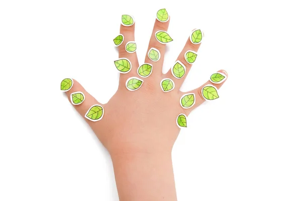 Kleine Kid Hand Met Groene Bladeren Geïsoleerd Witte Achtergrond — Stockfoto