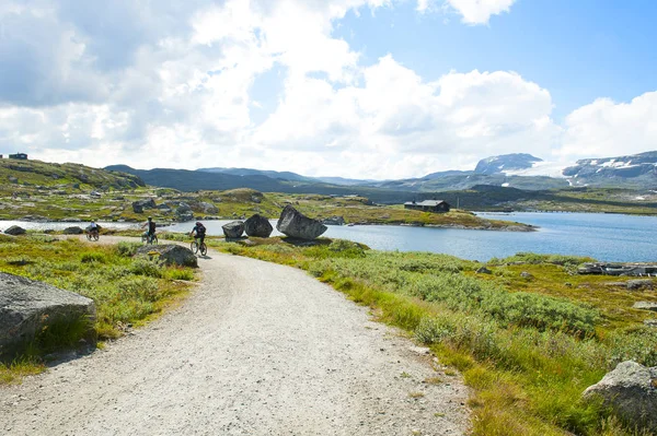 Turisti Bicicletta Bellissimo Paesaggio Finse Norvegia Luglio 2019 — Foto Stock