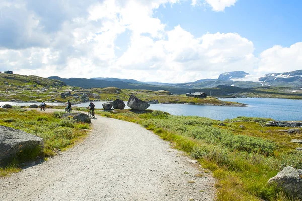 Turistas Bicicleta Hermoso Paisaje Finse Noruega Julio 2019 — Foto de Stock