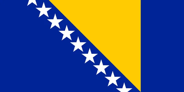 Vlajka Bosny Hercegoviny Vektorové Ilustrace — Stockový vektor