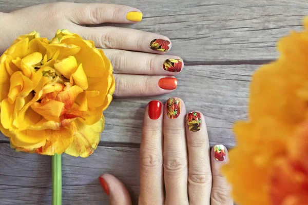 Manicure Laranja Amarelo Vermelho Colorido Com Design Tulipas Deslizantes Uma — Fotografia de Stock