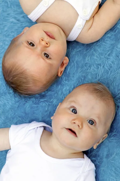 Meraklı Komik Farklı Duygular Bebekler Üzerinde Mavi Arka Plan Ile — Stok fotoğraf