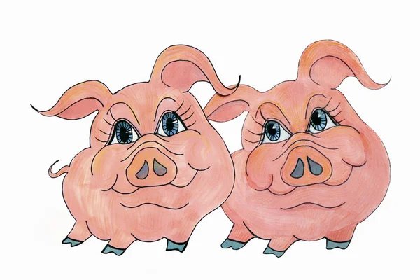 Dos Cerdos Alegres Cerca Sobre Fondo Blanco Símbolo 2019 Dibujo — Foto de Stock