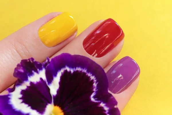 Colorful Trendy Summer Manicure Women Short Nails Nail Art — Stock Photo, Image