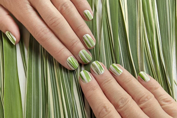 Herbal Design Short Nails Striped Manicure Nature Nail Art — Stock Photo, Image