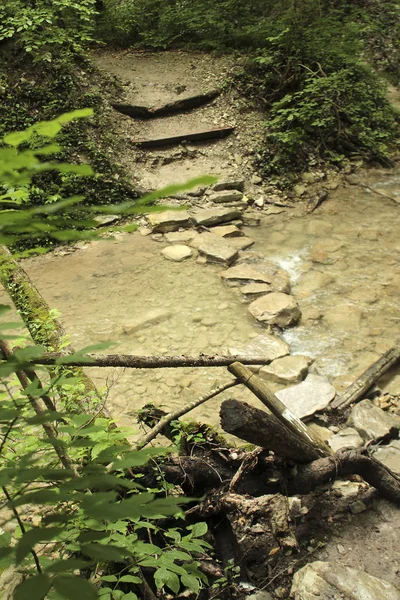 Escalera Desierto Naturaleza Junto Embalse Bosque Matorral Río Montaña — Foto de Stock