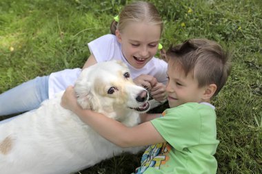 Doğa ile senin sevgili evde beslenen hayvan yaz iletişim çocuğun. Köpek ile iletişim mutluluk.