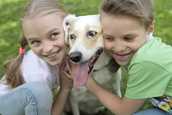 Общение Ребенка Летом Природе Любимым Домашним Животным Счастье Общения Собакой — стоковое фото