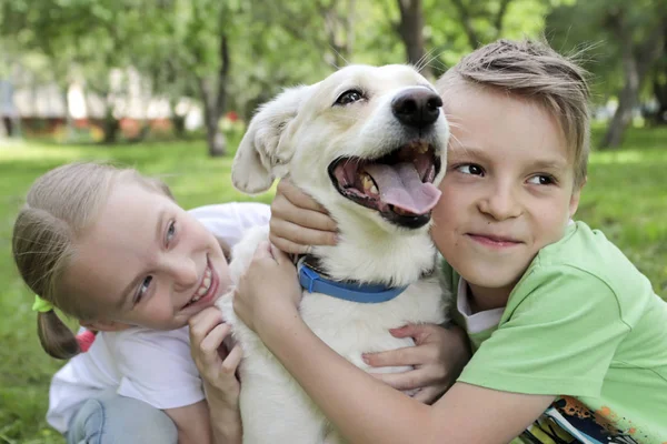 Comunicação Criança Verão Natureza Com Seu Animal Estimação Querido Felicidade — Fotografia de Stock