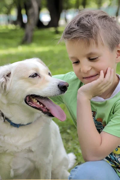 Communication of the child in the summer in nature with your beloved pet. The happiness of communicating with the dog.