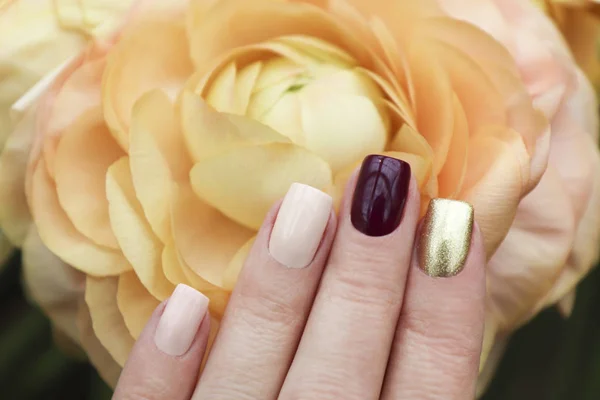 Veelkleurige Korte Manicure Met Een Donkere Gouden Bourgondië Pastel Lichte — Stockfoto