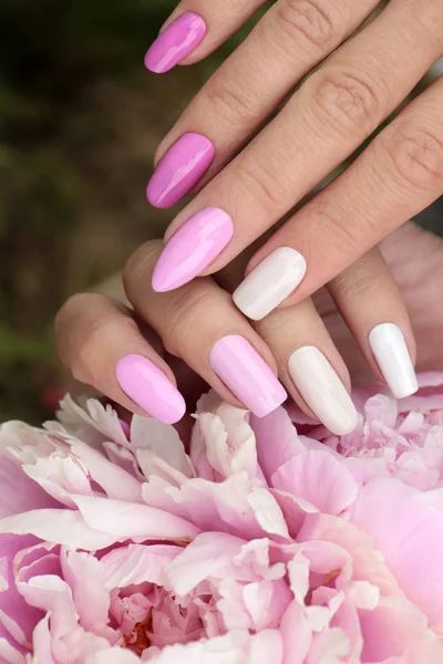 Licht Roze Pastel Manicure Verschillende Vormen Van Nagels Met Peony — Stockfoto