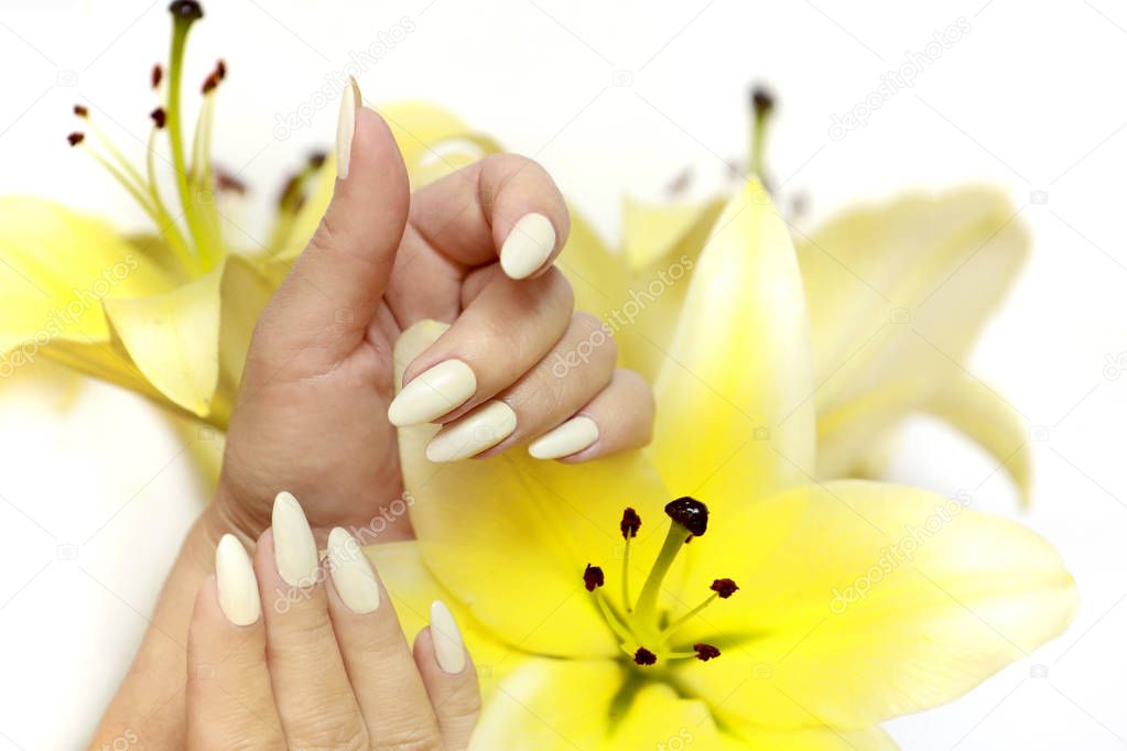 Manicure and pedicure at a long oval shaped nails with yellow lilies on a white background.