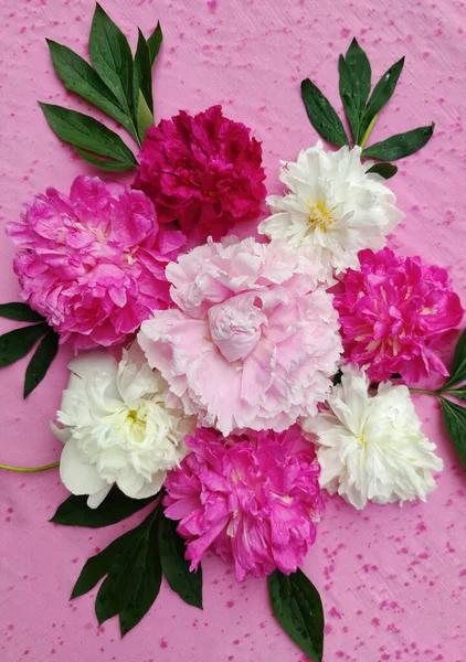 Bella Composizione Design Fiori Uno Sfondo Rosa Bouquet Peonie Peonie — Foto Stock