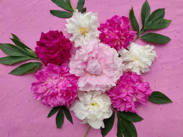 Bella Composizione Design Fiori Uno Sfondo Rosa Bouquet Peonie Peonie — Foto Stock