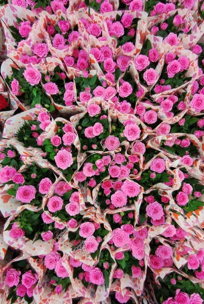 ピンクのバラの花束のコレクション 花の背景 — ストック写真