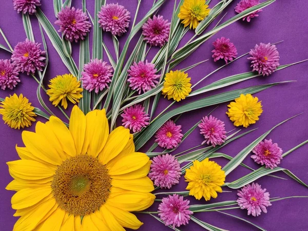 Bella Composizione Bouquet Girasoli Gialli Crisantemi — Foto Stock