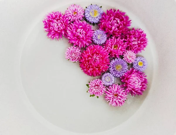 Krásná Kytice Květin Velkých Malých Astrů Růžové Šeříkové — Stock fotografie