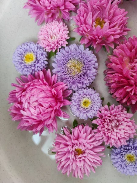 Hermoso Ramo Flores Grandes Pequeños Astros Rosa Lila — Foto de Stock