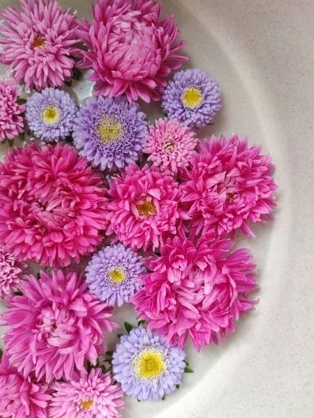 Vacker Blombukett Från Stora Och Små Astrar Rosa Och Lila — Stockfoto