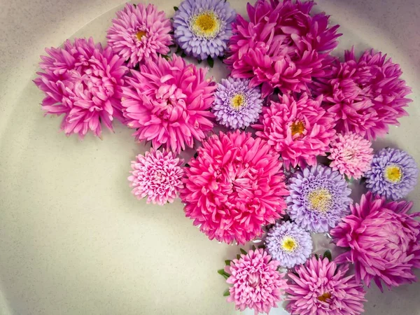 Lindo Buquê Flores Grandes Pequenos Astros Rosa Lilás — Fotografia de Stock