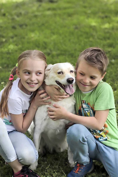 La comunicación del niño en verano en la naturaleza con su pupilo querido. La felicidad de comunicarse con el perro . — infancia, Diviértete - Stock Photo | #246696786