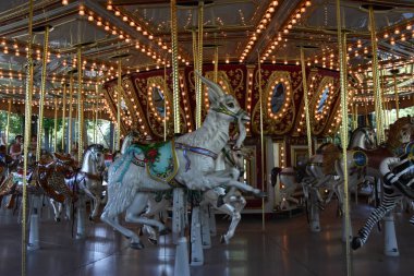 Paramus, NJ - 30 Haziran 2019 'da Paramus, New Jersey' deki Van Saun County Parkı 'nda görüldü..