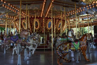 Paramus, NJ - 30 Haziran 2019 'da Paramus, New Jersey' deki Van Saun County Parkı 'nda görüldü..