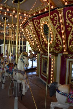 Paramus, NJ - 30 Haziran 2019 'da Paramus, New Jersey' deki Van Saun County Parkı 'nda görüldü..