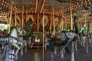 Paramus, NJ - 30 Haziran 2019 'da Paramus, New Jersey' deki Van Saun County Parkı 'nda görüldü..