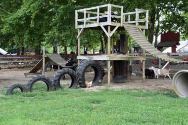 MEDFORD, NJ - 29 Temmuz 2019 'da Medford, New Jersey' deki Johnsons Corner Farm.