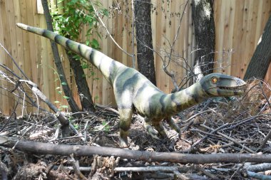 Boston, Ma - Jun 16: Franklin Park Zoo Boston, Massachusetts, 16 Haziran 2018 üzerinde görüldüğü gibi hedef Dino. Bu hareket, kükreyen, hayat dinozorlar bir düzine daha fazlasını içeren bir süre sergi oldu.