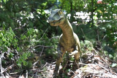 Boston, Ma - Jun 16: Franklin Park Zoo Boston, Massachusetts, 16 Haziran 2018 üzerinde görüldüğü gibi hedef Dino. Bu hareket, kükreyen, hayat dinozorlar bir düzine daha fazlasını içeren bir süre sergi oldu.