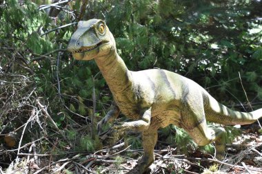 Boston, Ma - Jun 16: Franklin Park Zoo Boston, Massachusetts, 16 Haziran 2018 üzerinde görüldüğü gibi hedef Dino. Bu hareket, kükreyen, hayat dinozorlar bir düzine daha fazlasını içeren bir süre sergi oldu.