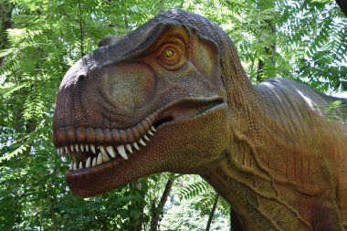 Boston, Ma - Jun 16: Franklin Park Zoo Boston, Massachusetts, 16 Haziran 2018 üzerinde görüldüğü gibi hedef Dino. Bu hareket, kükreyen, hayat dinozorlar bir düzine daha fazlasını içeren bir süre sergi oldu.