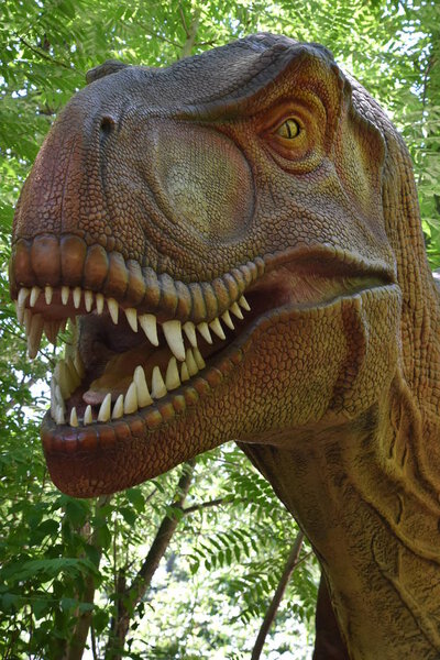 BOSTON, MA - JUN 16: Destination Dino at Franklin Park Zoo in Boston, Massachusetts, as seen on Jun 16, 2018. This was a limited time exhibit featuring more than a dozen moving, roaring, life-sized dinosaurs.