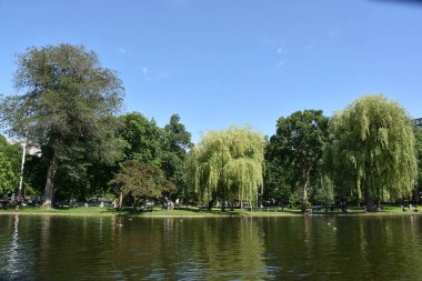 Boston, Ma - Jun 16: Kamu bahçe Boston, Massachusetts, 16 Haziran 2018 üzerinde görüldüğü gibi. Bu parklar zümrüt kolye sisteminin bir parçasıdır ve Amerika'nın ilk genel Botanik Bahçesi.