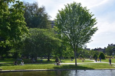 Boston, Ma - Jun 16: Kamu bahçe Boston, Massachusetts, 16 Haziran 2018 üzerinde görüldüğü gibi. Bu parklar zümrüt kolye sisteminin bir parçasıdır ve Amerika'nın ilk genel Botanik Bahçesi.