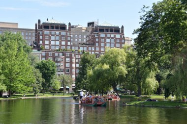 Boston, Ma - Jun 16: Ünlü kuğu tekne Boston, Massachusetts, 16 Haziran 2018 üzerinde görüldüğü gibi kamu Garden. Geri 1877 için tekneler Tarih.